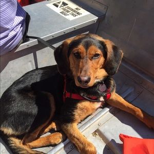 Meet your Posher, Alicia